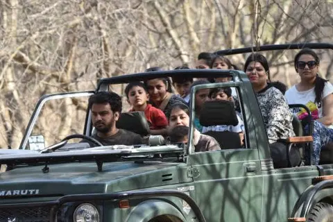 Tiger @ jungle drive gorewada zoo