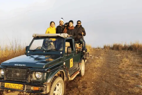 Jungle Drive